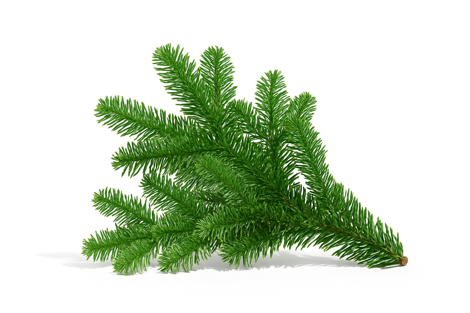 Nordic Foliage